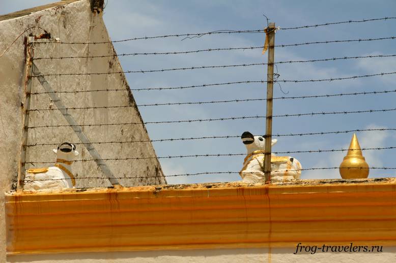 Священная корова