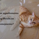 Как коту быстро заработать в интернете?
