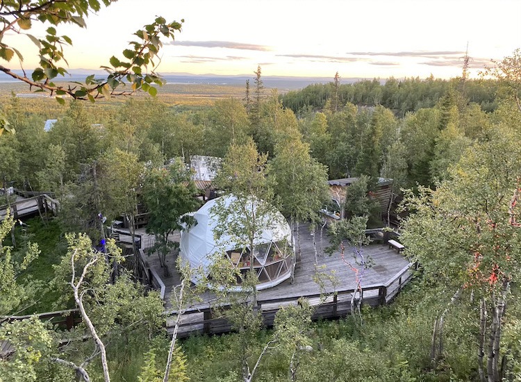 Кафе в парке Таинственный лес