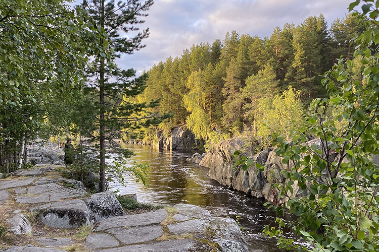 Природа Карелии летом