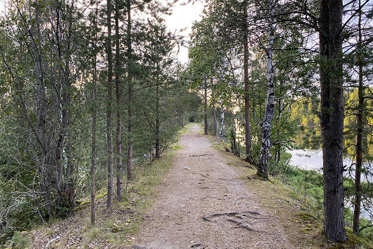 Путь к водопаду летом