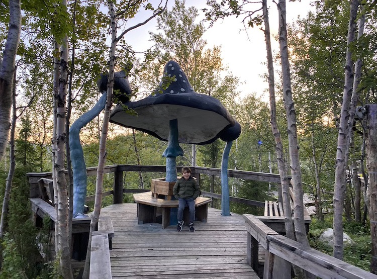 Таинственный лес с детьми летом