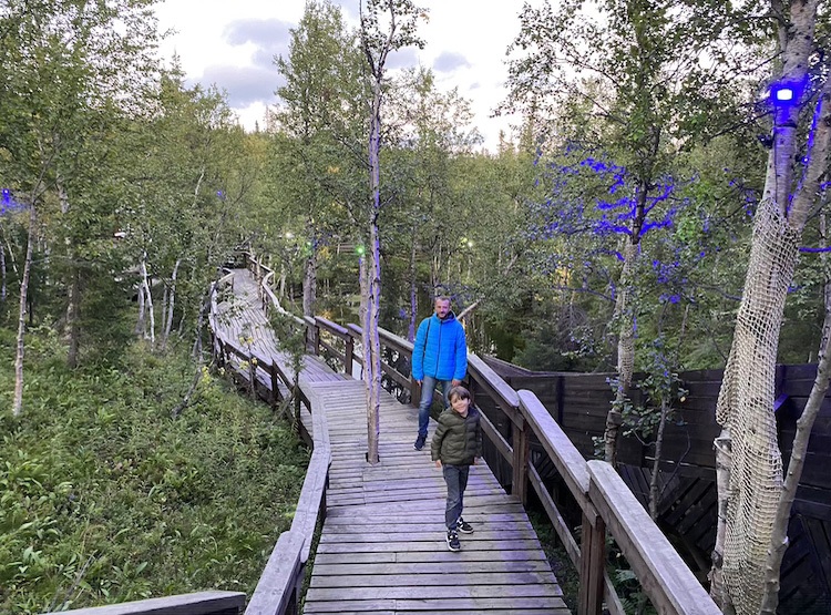 Таинственный лес с детьми