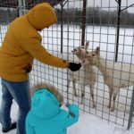 Карельский зоопарк с детьми